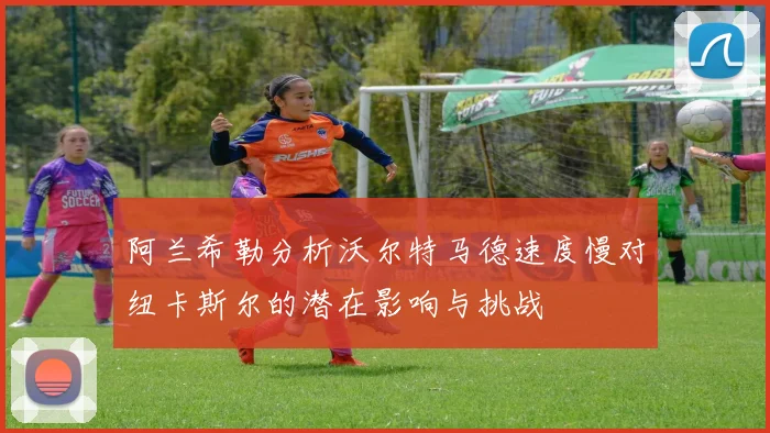阿兰希勒分析沃尔特马德速度慢对纽卡斯尔的潜在影响与挑战
