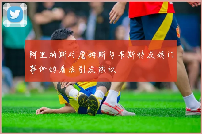 阿里纳斯对詹姆斯与韦斯特友妈门事件的看法引发热议
