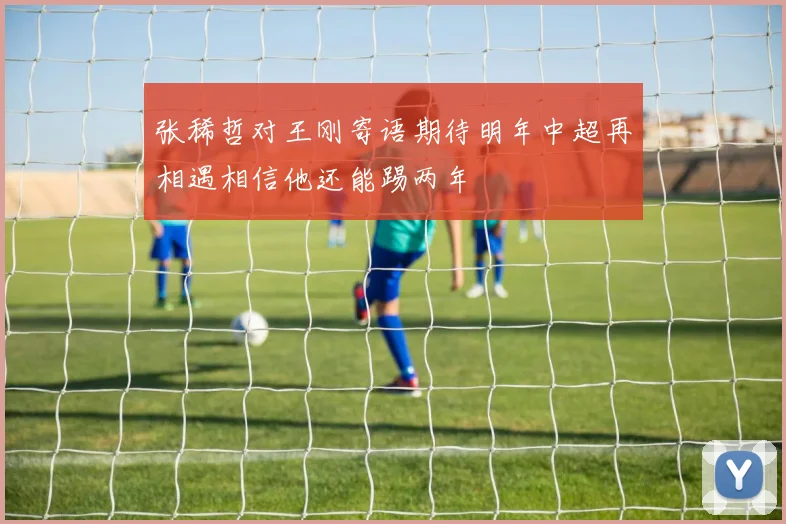 张稀哲对王刚寄语期待明年中超再相遇相信他还能踢两年