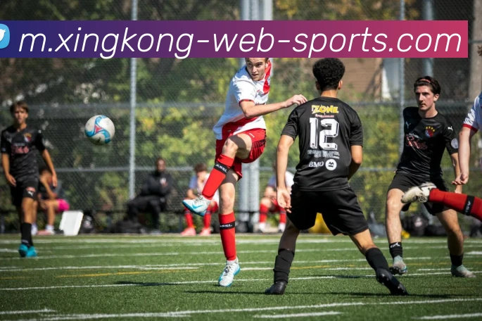 星空体育APP 高清赛事图